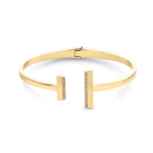 Calvin Klein CK Minimal Linear armband CJ35000161 Goud