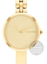 Calvin Klein CK25200279 Horloge Dames Zilver