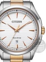 citizen eco drive horloge AW1756-89A