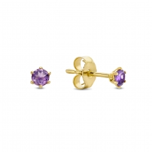 Jackie Gold Amethyst Studs JKE20.006