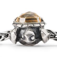 trollbeads kraal Lang Leven TAGBE-00299 zilver