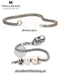 trollbeads zilveren armband 18cm TAGBR-00009