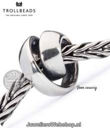 Trollbeads TAGBE-10038 voor eeuwig kraal